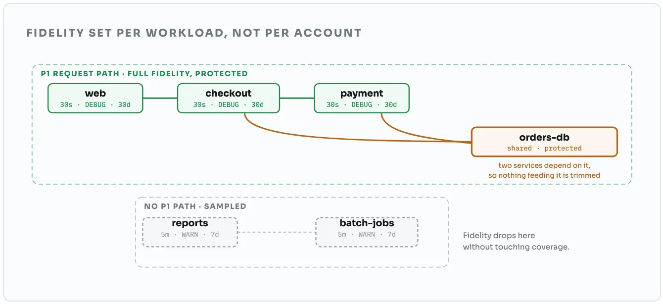 Fidelity set per workload, not per account, shown as a topology. The P1 request path is protected at full fidelity: web, checkout and payment at 30 second sampling, debug level, kept 30 days, and the orders database, which is shared and protected because two services depend on it, so nothing feeding it is trimmed. The batch side has no P1 path and is sampled: reports and batch jobs at 5 minutes, warn level, kept 7 days. Fidelity drops there without touching coverage.